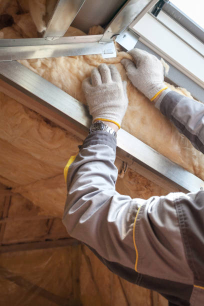 Insulation Repair Services in New Haven, MI