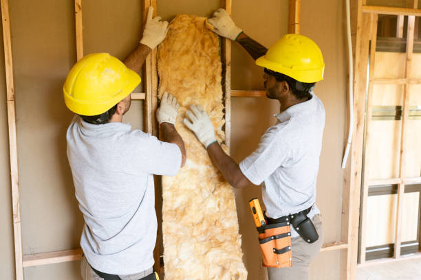 Best Insulation Replacement Services  in New Haven, MI