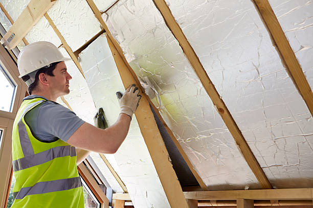 Best Residential Insulation Services  in New Haven, MI